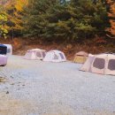 양평숲 비룡캠프장 이미지