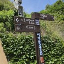 # 영덕 해맞이 공원-축산항(영덕블루로드)트래킹 # 이미지