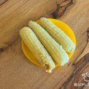 팔봉수피아 이미지