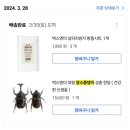 종일사슴 이미지