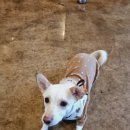 어반식당 이미지