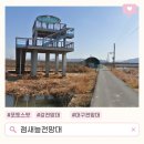 안심창조밸리 천천둘레길 | 점새늪 전망대 연꽃단지 대구 가볼만한곳