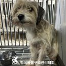 노원-상계-2851 이미지