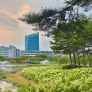 시원하게 탁 트인 자연과 함께! 나주 힐링 여행 이미지