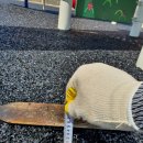 봉동어린이공원 이미지