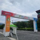 함양산삼축제 상림공원 엑스포 애견동반 가을 나들이 드라이브 경남 가볼만한곳