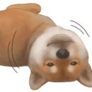 다오동물병원 이미지