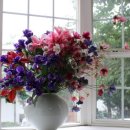 숲속의산책 펜션 이미지