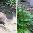 신촌식당 이미지