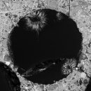 포토사이언스 이미지