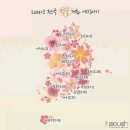 개화(아) 이미지