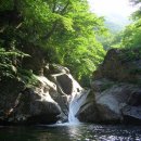 2009년 9월13일(日) 정기산행 지리산 반야봉(1,732m) 무박 이미지