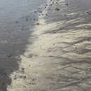 삼양세탁소 이미지