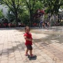 도요새어린이공원 이미지