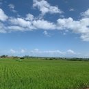 153태양광발전소 이미지