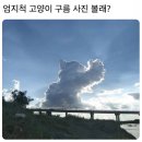 비키김해점 | 어항 속에서 보내는 일상들🥽🫧