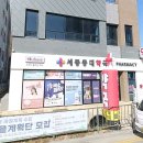 가까운세종충대약국 | 세종시 해밀동 약국 추천 BEST 6곳, 열린 약국, 토요일, 일요일, 공휴일, 심야