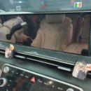 정원약품 | 양주 나무정원여성병원에서 맡겨주신 신생아 출산세차후기