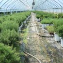 김진성농장 이미지