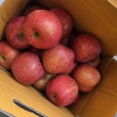 도일농장 이미지