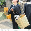 오서방네 농장 이미지