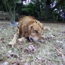 제주토산초등학교소개 이미지