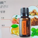 주니메타