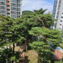 회산주공아파트 이미지