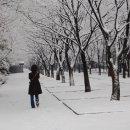 샘머리공원 이미지