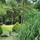 인천대공원(거수골) 이미지