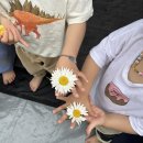 (주)누리팜 | 용인 다누리움 캠핑장 A존에서 차박캠핑 + 스토리지웍스 더 마스터 블랙에디션, 홀리데이 자이언트쉘터