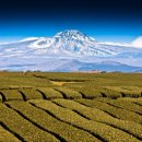 오성카랜드 이미지