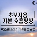 초보자를 위한 기본 호흡명상 │ 숨결 따라가기 │유나명상연구소 이미지