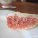 시골약초가게