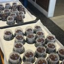 유한회사 매일환경운수 | 2026년 2월의 일기