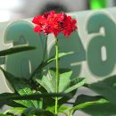 야트 - 영등포구 여의대방로65길 10 | 야트