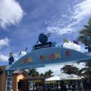 바디플레닛 짐 | 클락 액티비티 아쿠아플래닛 워터파크