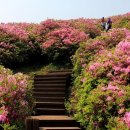 옥룡 GS마트 이미지