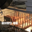 붕어싸롱 네이버블로그