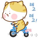 팔용고기백화점