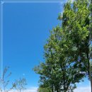 [생태탐방] 소래포구 이미지