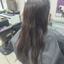 새벽의 다릴 건너 달빛에 매달린 채 오늘 밤