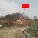 여주-1054 이미지