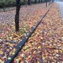 만추식당 이미지