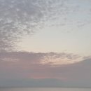 제주 한달살이 .16 (바다 반딧불이 고내)