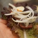 동환이네야채