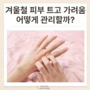 닥터엘의원 이미지