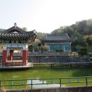 증평수도사 - 1371 | 증평수도사