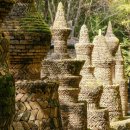 산림욕장 이미지