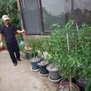 이화약국 이미지